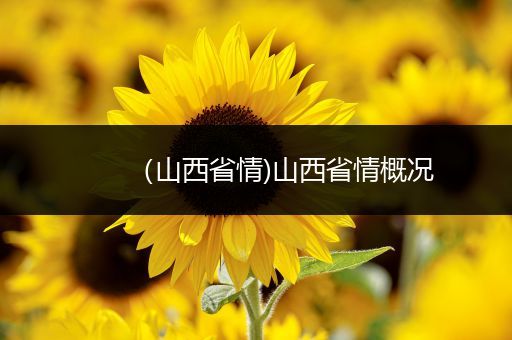 （山西省情)山西省情概况