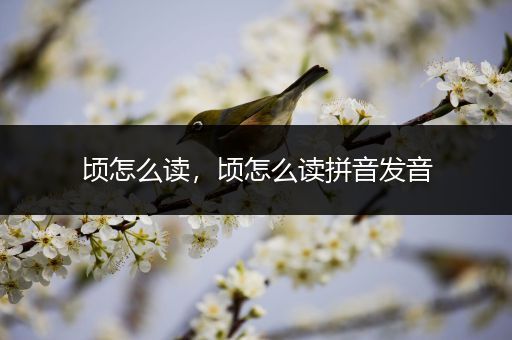 顷怎么读，顷怎么读拼音发音