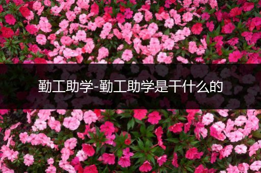 勤工助学-勤工助学是干什么的