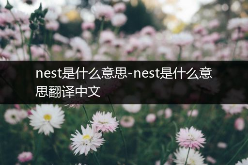 nest是什么意思-nest是什么意思翻译中文
