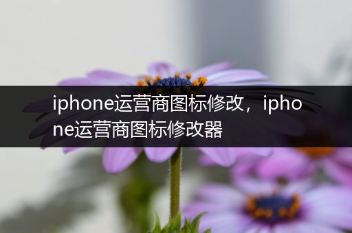 iphone运营商图标修改，iphone运营商图标修改器