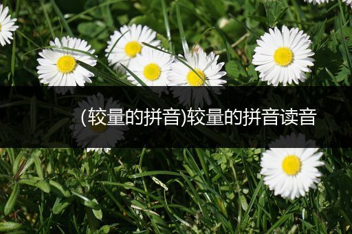 （较量的拼音)较量的拼音读音