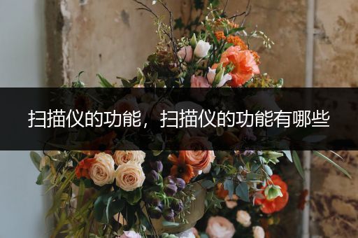 扫描仪的功能，扫描仪的功能有哪些