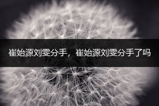 崔始源刘雯分手，崔始源刘雯分手了吗