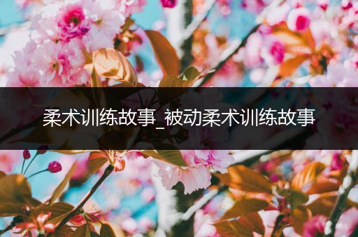 柔术训练故事_被动柔术训练故事
