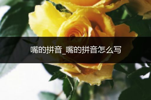嘴的拼音_嘴的拼音怎么写