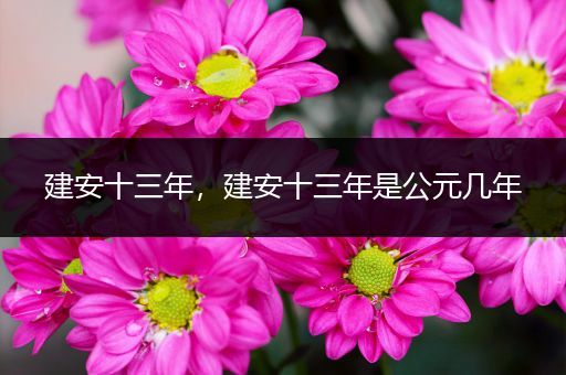 建安十三年，建安十三年是公元几年