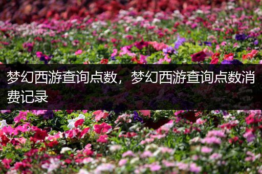 梦幻西游查询点数，梦幻西游查询点数消费记录