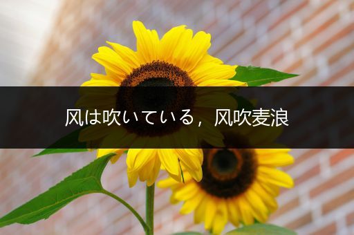 风は吹いている，风吹麦浪