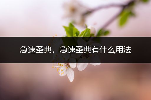 急速圣典，急速圣典有什么用法