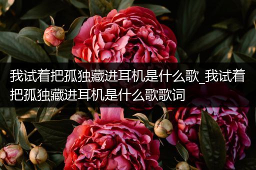 我试着把孤独藏进耳机是什么歌_我试着把孤独藏进耳机是什么歌歌词