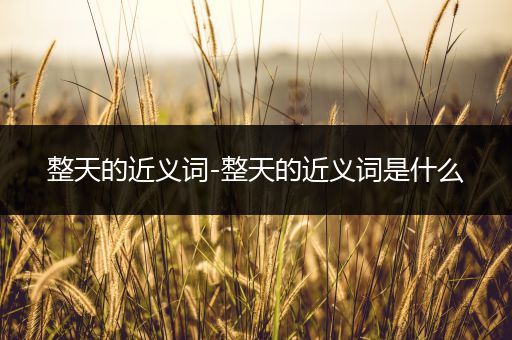 整天的近义词-整天的近义词是什么