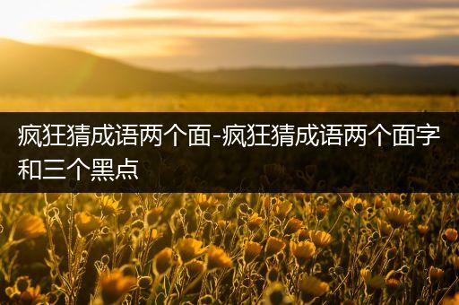 疯狂猜成语两个面-疯狂猜成语两个面字和三个黑点