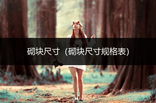 砌块尺寸（砌块尺寸规格表）