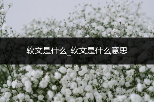 软文是什么_软文是什么意思