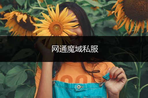 网通魔域私服