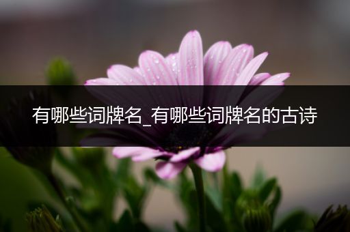 有哪些词牌名_有哪些词牌名的古诗