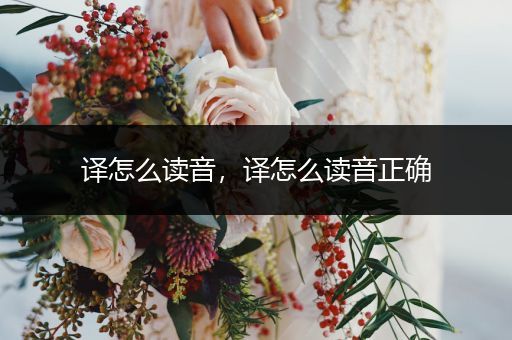 译怎么读音，译怎么读音正确