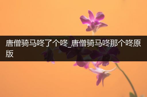 唐僧骑马咚了个咚_唐僧骑马咚那个咚原版