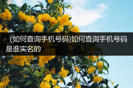 （如何查询手机号码)如何查询手机号码是谁实名的