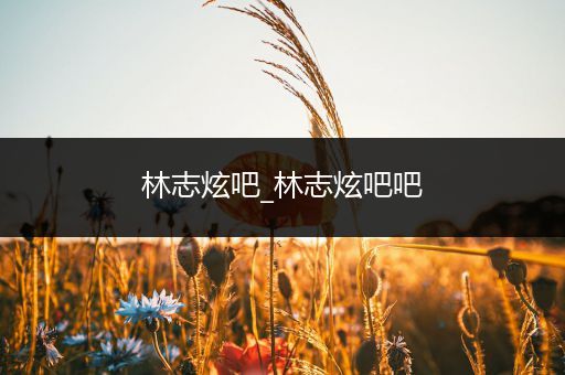 林志炫吧_林志炫吧吧