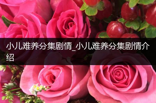 小儿难养分集剧情_小儿难养分集剧情介绍