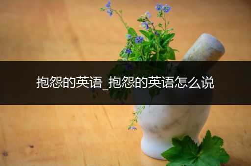 抱怨的英语_抱怨的英语怎么说