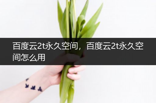 百度云2t永久空间，百度云2t永久空间怎么用