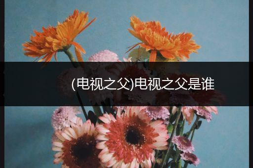 （电视之父)电视之父是谁