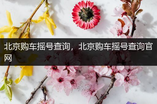 北京购车摇号查询，北京购车摇号查询官网