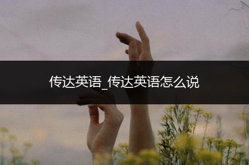 传达英语_传达英语怎么说