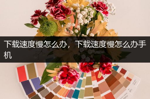 下载速度慢怎么办，下载速度慢怎么办手机