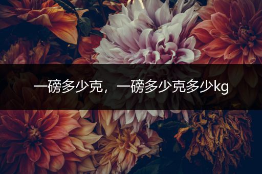 一磅多少克，一磅多少克多少kg