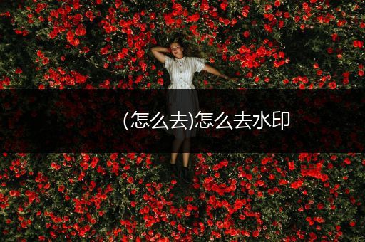 （怎么去)怎么去水印