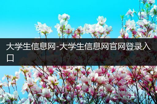 大学生信息网-大学生信息网官网登录入口