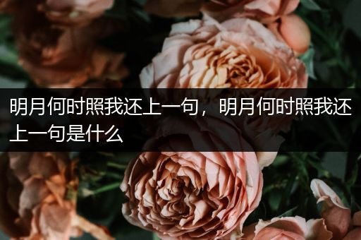 明月何时照我还上一句，明月何时照我还上一句是什么