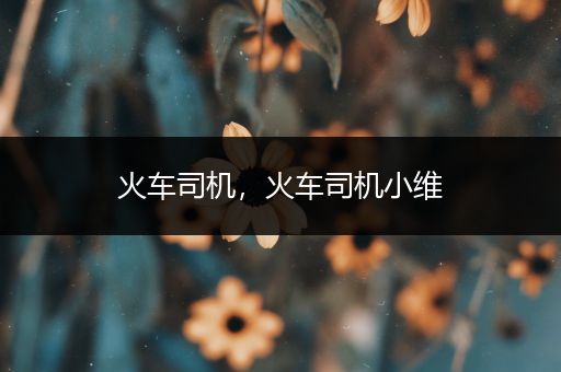 火车司机，火车司机小维
