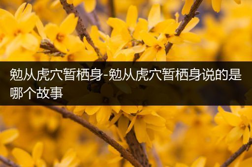 勉从虎穴暂栖身-勉从虎穴暂栖身说的是哪个故事