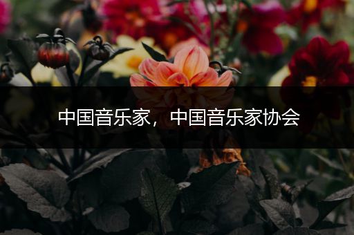 中国音乐家，中国音乐家协会