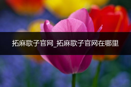 拓麻歌子官网_拓麻歌子官网在哪里