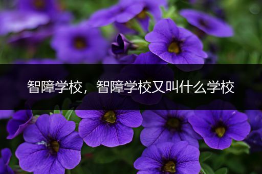 智障学校，智障学校又叫什么学校