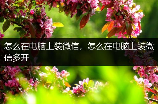 怎么在电脑上装微信，怎么在电脑上装微信多开