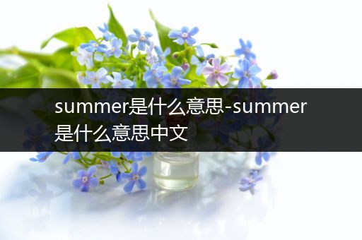 summer是什么意思-summer是什么意思中文