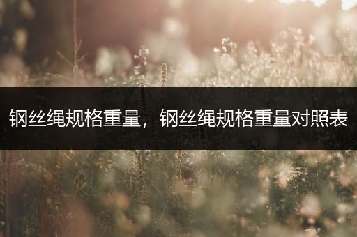 钢丝绳规格重量，钢丝绳规格重量对照表
