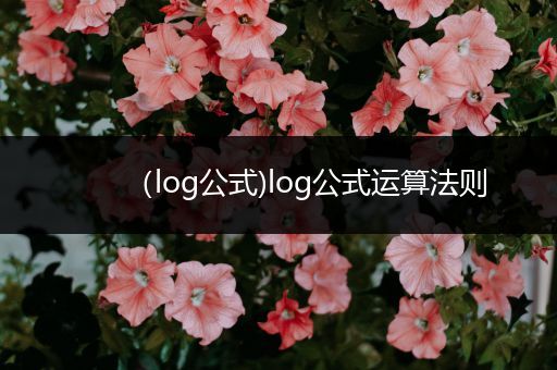 （log公式)log公式运算法则