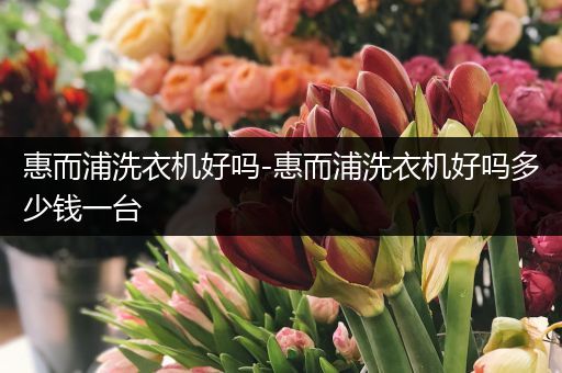 惠而浦洗衣机好吗-惠而浦洗衣机好吗多少钱一台