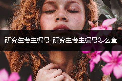 研究生考生编号_研究生考生编号怎么查