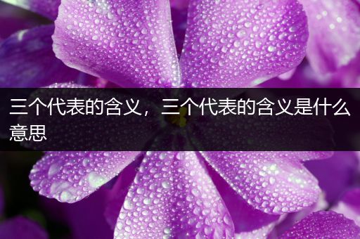 三个代表的含义，三个代表的含义是什么意思