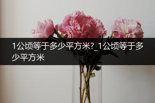 1公顷等于多少平方米?_1公顷等于多少平方米