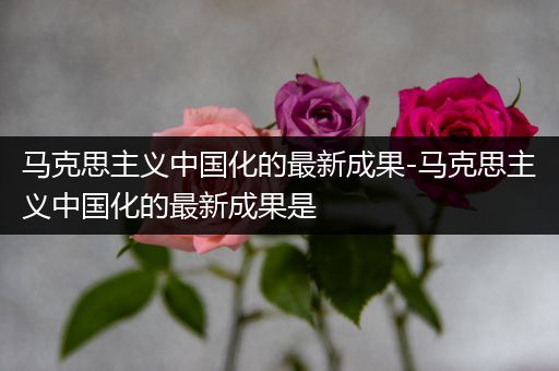 马克思主义中国化的最新成果-马克思主义中国化的最新成果是